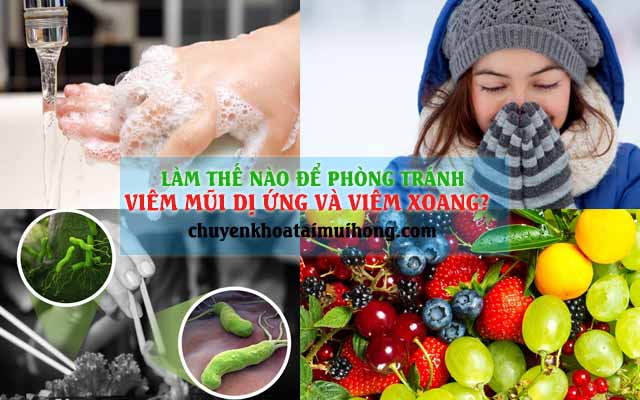 Làm thế nào để phòng tránh viêm mũi dị ứng và viêm xoang?