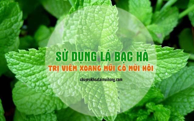 Sử dụng lá bạc hà trị viêm xoang mũi có mùi hôi 