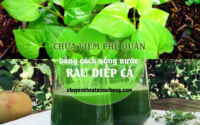 Uống nước rau diếp cá chữa bệnh viêm phế quản