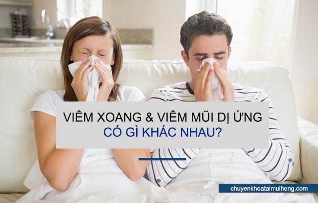 viêm xoang, viêm mũi dị ứng