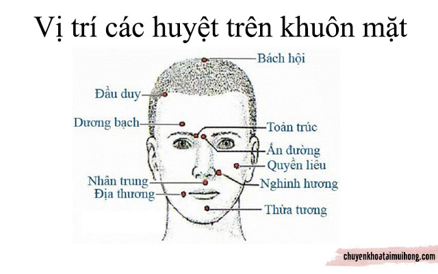 các huyệt trên khuôn mặt