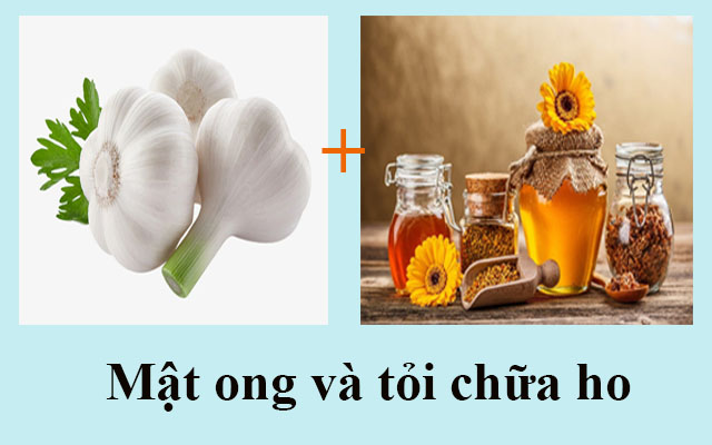 Phương pháp chữa ho bằng mật ong và củ tỏi 