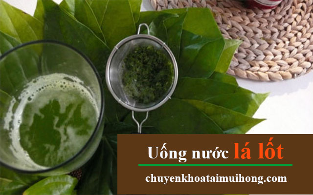 Chữa bệnh viêm xoang bằng cách uống nước lá lốt Chữa bệnh viêm xoang bằng cách uống nước lá lốt