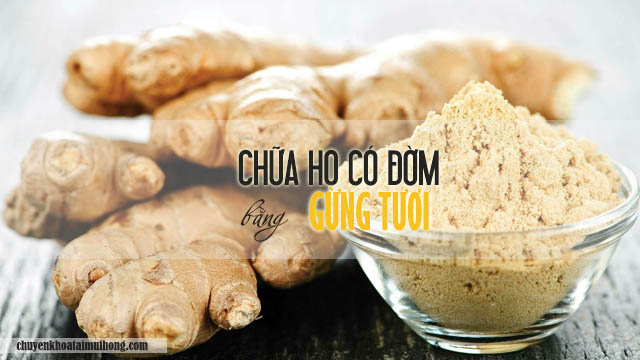 Chữa ho có đờm bằng gừng tươi