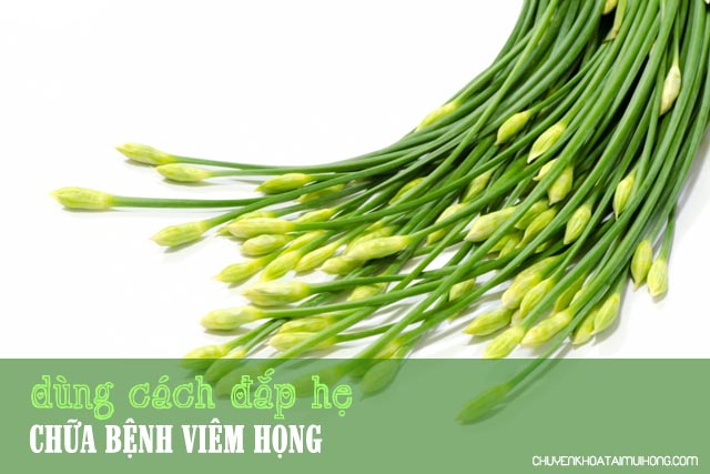 Dùng cách đắp lá hẹ chữa bệnh viêm họng