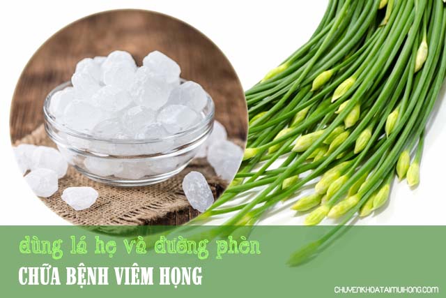 Dùng lá hẹ và đường phèn chữa bệnh viêm họng