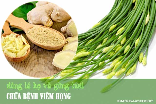 Dùng lá hẹ và gừng tươi chữa bệnh viêm họng