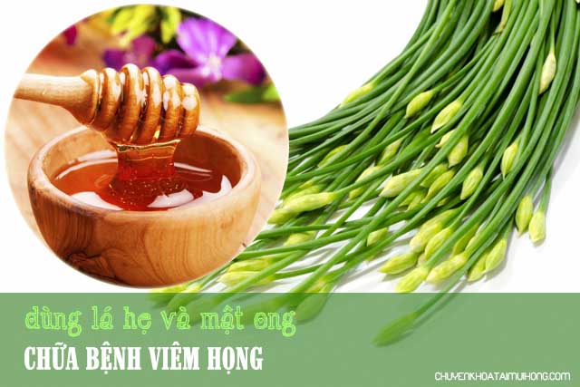 Dùng lá hẹ và mật ong chữa bệnh viêm họng