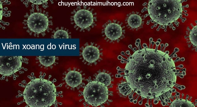 Nguyên nhân mắc bệnh viêm xoang do virus