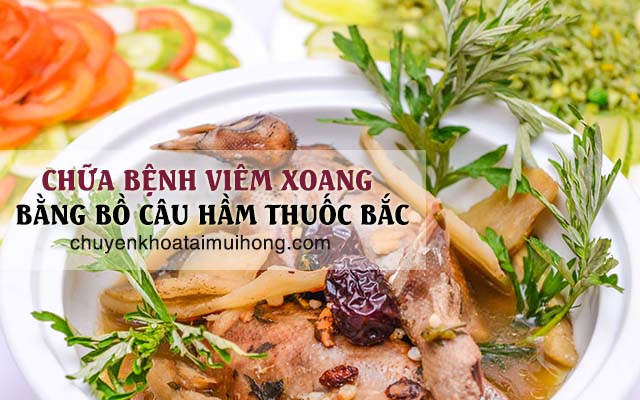 Chữa viêm xoang bằng bồ câu hầm thuốc Bắc