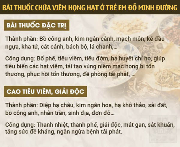 Thành phần, công dụng bài thuốc chữa viêm họng hạt ở trẻ em dòng họ Đỗ Minh