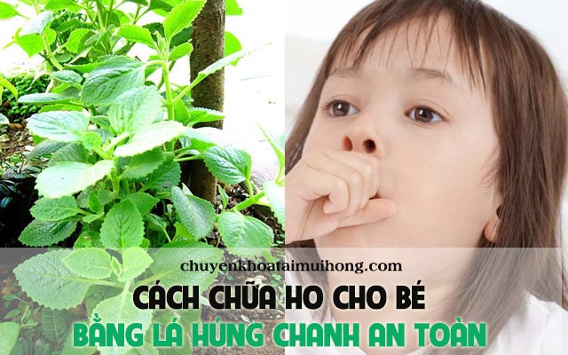 Cách chữa ho cho bé bằng lá húng chanh cực kỳ an toàn