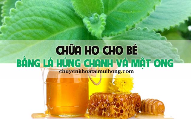 Dùng lá húng chanh và với mật ong chữa ho kéo dài, ho có đờm