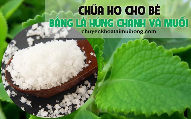 Trị ho cho bé bằng lá húng chanh và muối