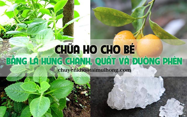 Chữa ho cho bé bằng lá húng chanh, quất và đường phèn