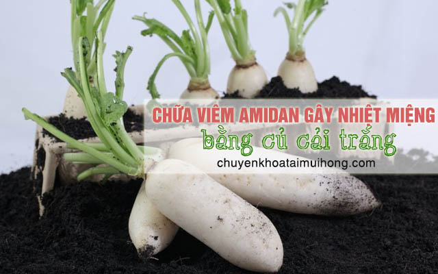 Chữa bệnh viêm amidan gây nhiệt miệng bằng củ cải trắng