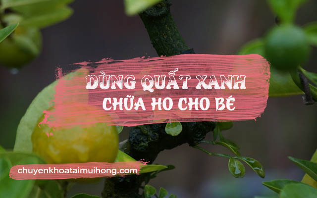 Dùng quất xanh chữa ho cho bé