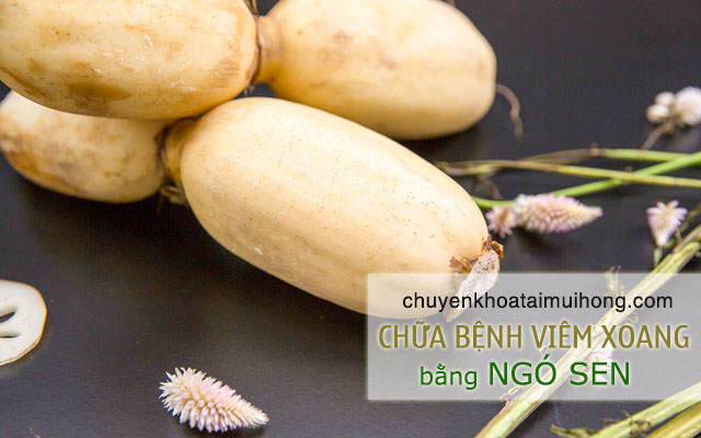 Dùng ngó sen chữa bệnh viêm xoang