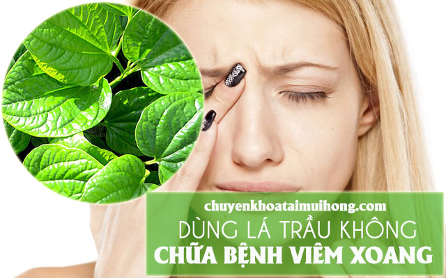 Mẹo chữa viêm xoang bằng lá trầu không