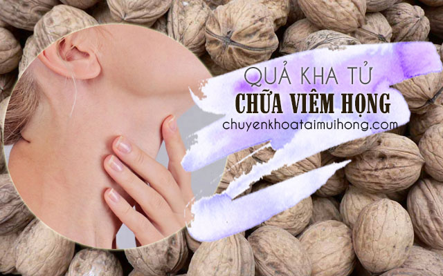 Dùng quả kha tử điều trị viêm họng như thế nào?