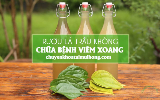 Dùng rượu lá trầu không chữa bệnh viêm xoang