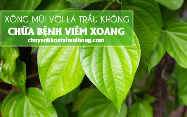 Chữa bệnh viêm xoang bằng cách xông mũi với lá trầu không