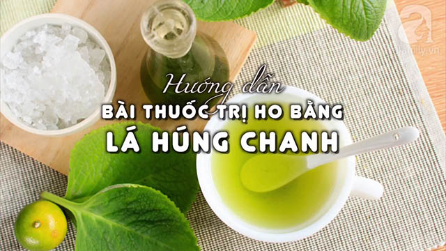 Bài thuốc trị viêm họng có đờm bằng lá húng chanh