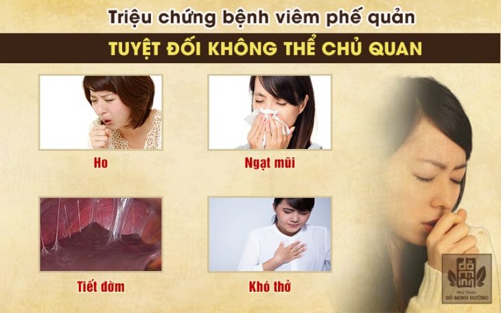 Dấu hiệu viêm phế quản dễ nhận biết nhất - không thể bỏ qua Dấu hiệu viêm phế quản dễ nhận biết nhất - không thể bỏ qua