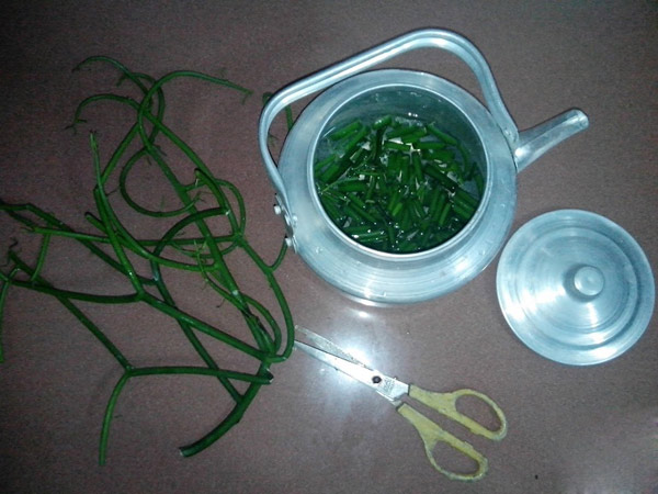 Chỉ một vài thao tác đơn giản, mọi người đã có ngay mẹo dân gian chữa viêm xoang Chỉ một vài thao tác đơn giản, mọi người đã có ngay mẹo dân gian chữa viêm xoang