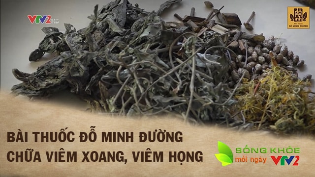 Bài thuốc chữa viêm xoang nổi tiếng của nhà thuốc Đỗ Minh Đường