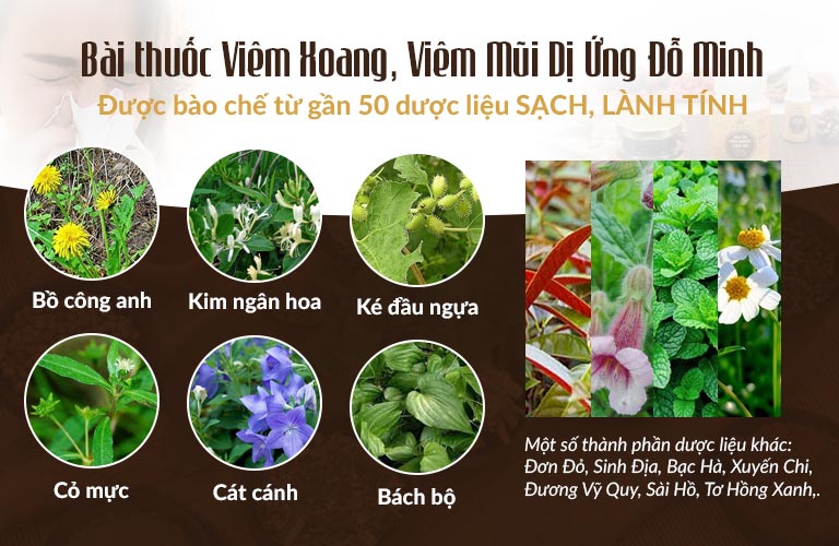 Thành phần thảo dược trong bài thuốc Viêm xoang Đỗ Minh