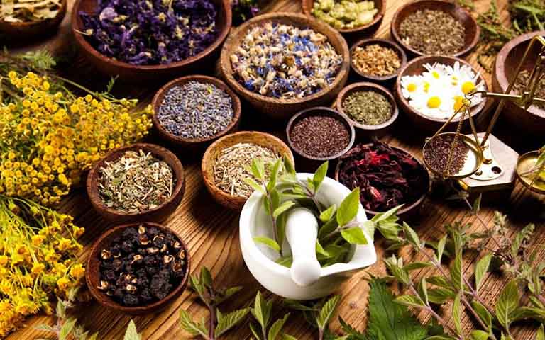 Thuốc nam chữa viêm xoang mang lại hiệu quả sâu Thuốc nam chữa viêm xoang mang lại hiệu quả sâu