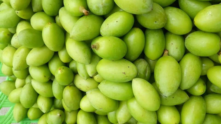 Nhiều người dùng trám chua để chữa viêm amidan