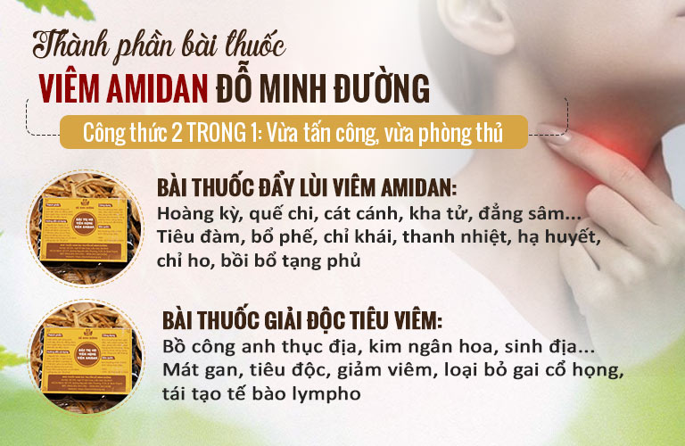 Thành phần bài thuốc Viêm Họng Đỗ Minh