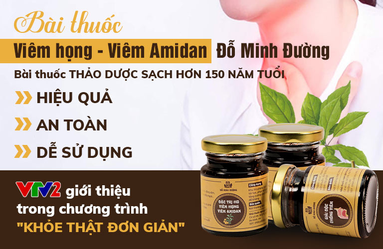 Bài thuốc viêm họng, viêm amidan Đỗ Minh Đường