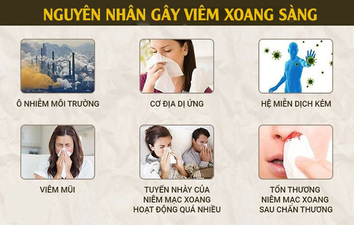 Những nguyên nhân gây bệnh thường gặp