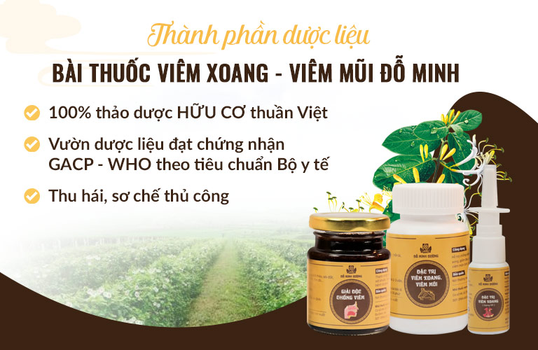 Bài thuốc viêm xoang Đỗ Minh được điều chế hoàn toàn từ thảo dược HỮU CƠ lành - xanh - sạch