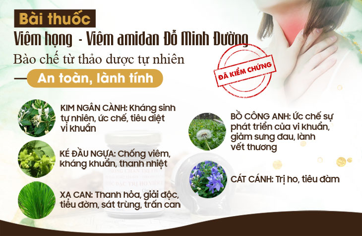 Một số thành phần bài thuốc viêm họng Đỗ Minh