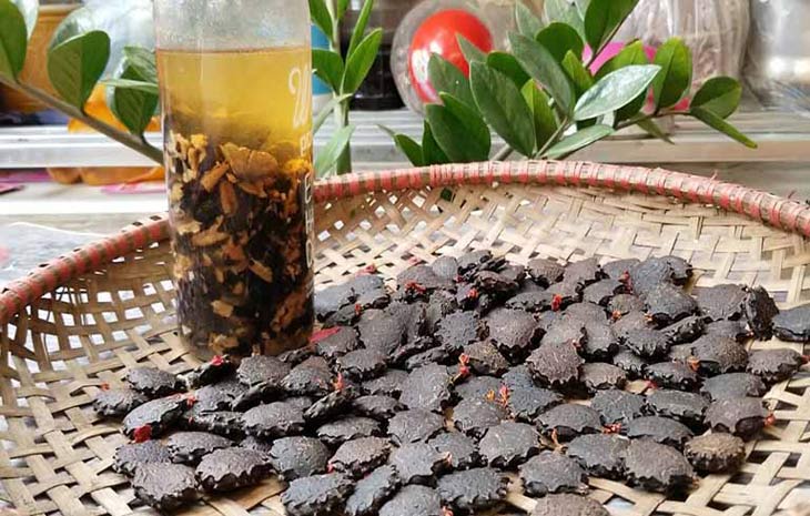 Hạt gấc ngâm rượu trị viêm xoang sàng tại nhà Hạt gấc ngâm rượu trị viêm xoang sàng tại nhà
