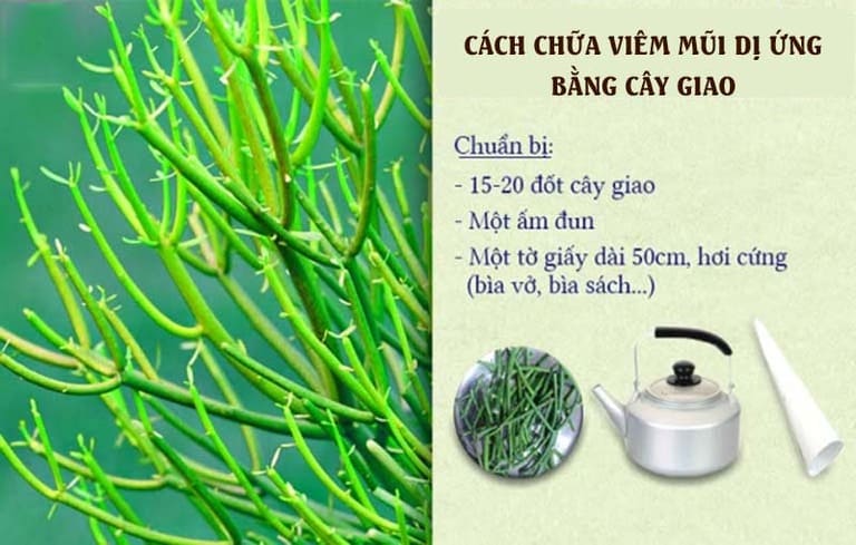 Hướng dẫn cách chữa viêm xoang bằng cây giao