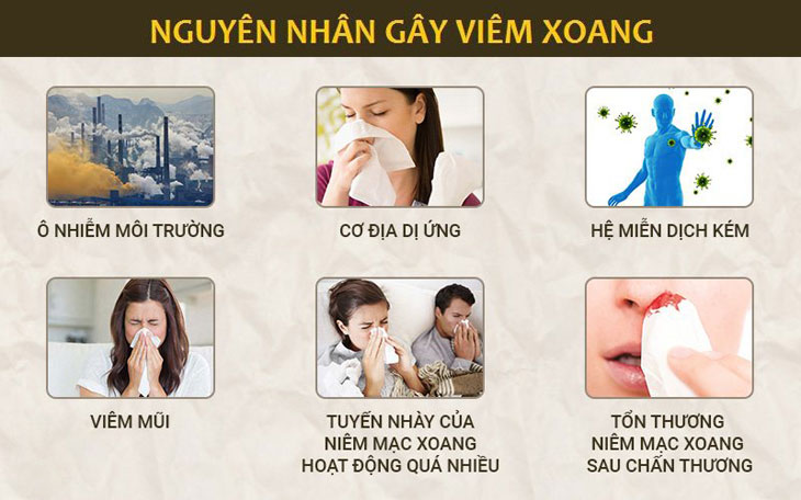 Những nguyên nhân gây viêm xoang thường gặp nhất