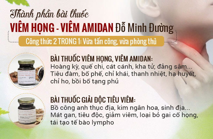 Liệu trình bài thuốc Viêm họng, viêm amidan Đỗ Minh 