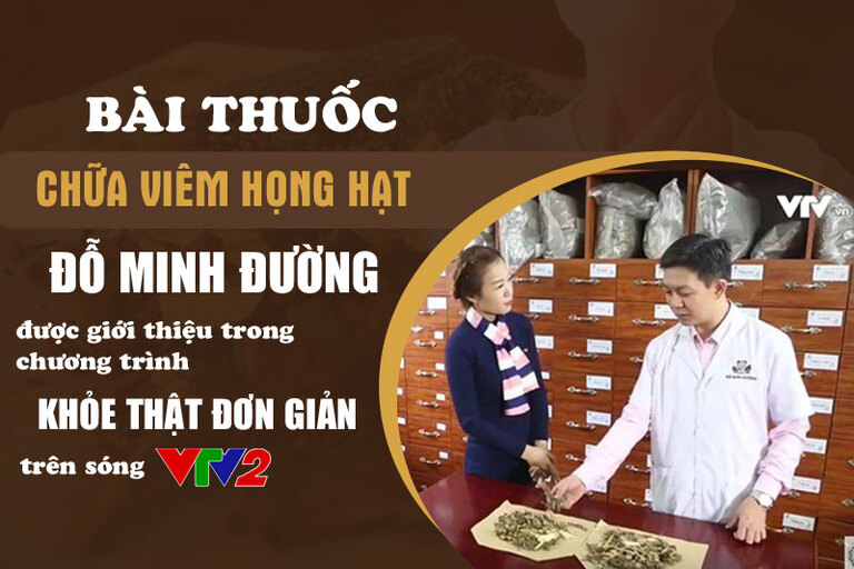 Em tìm hiểu rất kỹ bà thuốc Viêm họng Đỗ Minh của nhà thuốc nam Đỗ Minh Đường này