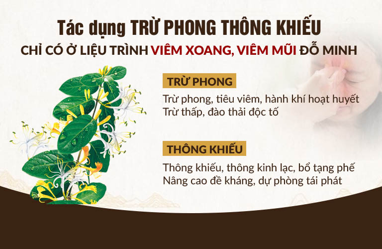 Liệu trình đầy đủ bài thuốc viêm xoang – viêm mũi dị ứng Đỗ Minh