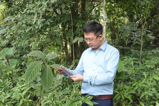 Lương y Đỗ Minh Tuấn cùng Viện Y dược Cổ truyền Dân tộc nâng tầm thuốc nam