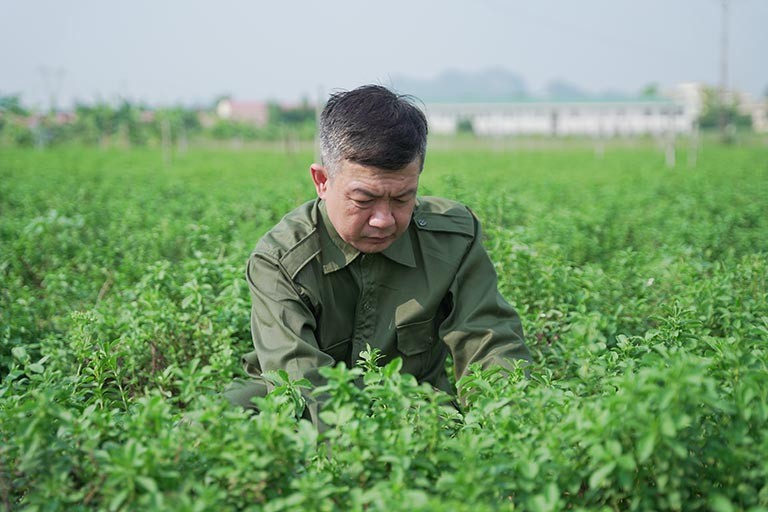 Đỗ Minh Đường phát triển được các vườn dược liệu sạch, chủ động về nguyên liệu