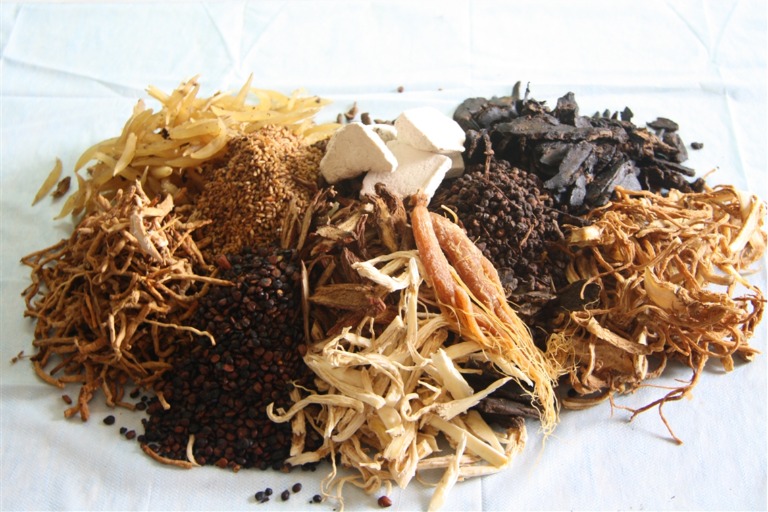 Bài thuốc nam chữa viêm amidan Đỗ Minh Đường